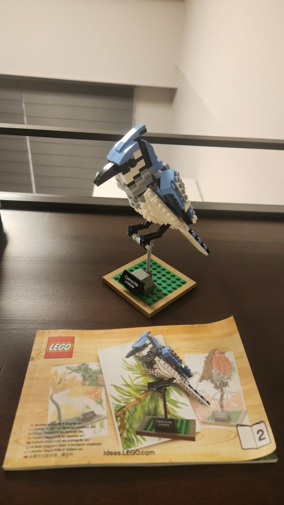 레고 71805 닌자고, 21301 아이디어스 새 판매 이미지