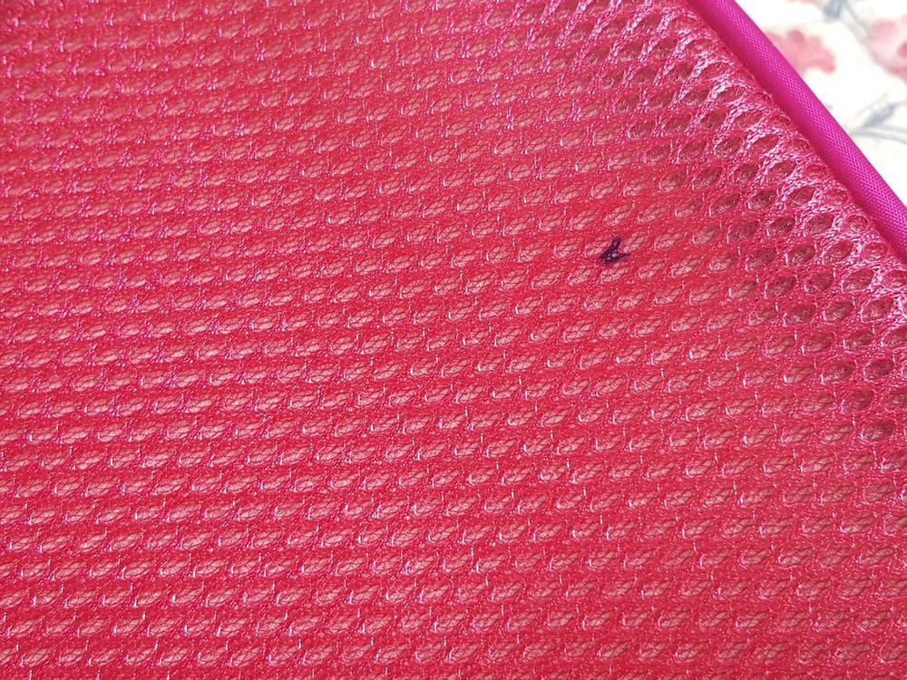 유아동 당근토끼 하드백팩--5