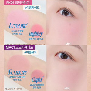 퓌 듀얼 블러셔 럽미하이키