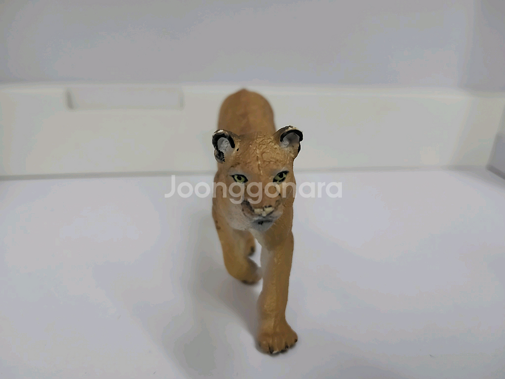 퓨마 동물피규어--3