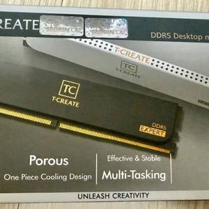 팀그룹 DDR5 6000MHz CL30 16G 2개 서린 정품