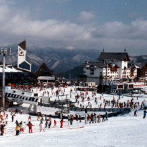 무주 시즌권 구매해요 이미지