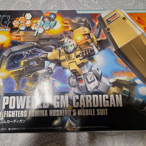 hg 파워드 짐 카디건