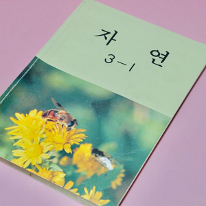 자연 3-1 옛날 국민학교 교과서 수집 고서 책 골동품 레트로 이미지