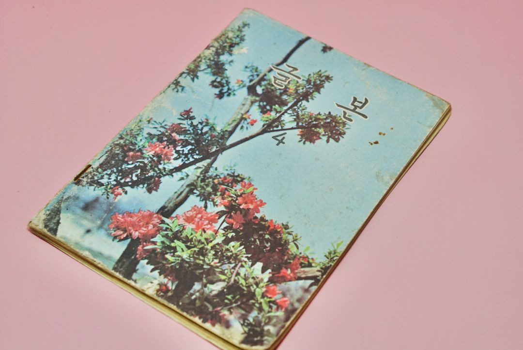 글본4 옛날 국민학교 교과서 수집 고서 책 골동품 레트로 이미지