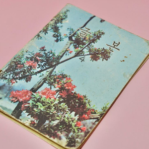 글본4 옛날 국민학교 교과서 수집 고서 책 골동품 레트로 이미지