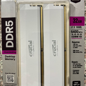 마이크론 Crucial DDR5-6400 CL38 PRO Overclocking White 32GB(16Gx2)
