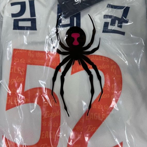 한화이글스 40주년 레거시 유니폼 110 김태균 교환