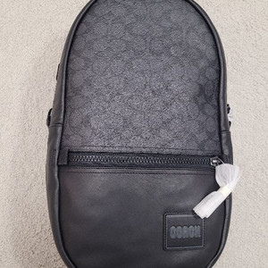 코치 남성 백팩