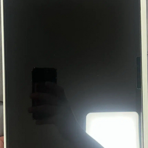 아이패드 프로11 m4 256 스블 팝니다