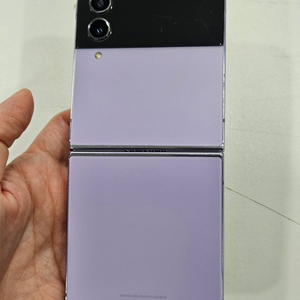 갤럭시Z플립4 라벤더 256GB