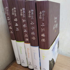 롤링비틀 올마이티바이블 총5권(다니엘서+창세기+요한계시록+사무엘상+사도행전) 성경 세트