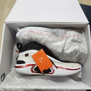 (295) 나이키 에어조던 36 PF