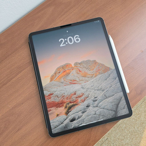 [급처]아이패드 프로5세대 12.9인치 셀룰러 256gb