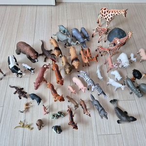 동물 피규어 세트
