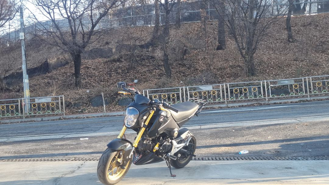 혼다 msx 125 15년식/구변완료/급매 이미지