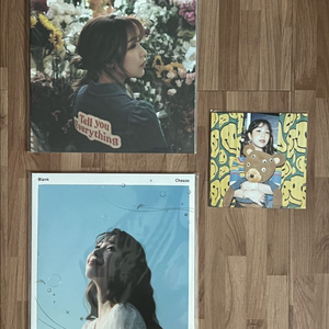 치즈(CHEEZE) - ep I cant tell you everything, blank, 7인치 한정반 LP 판매 이미지