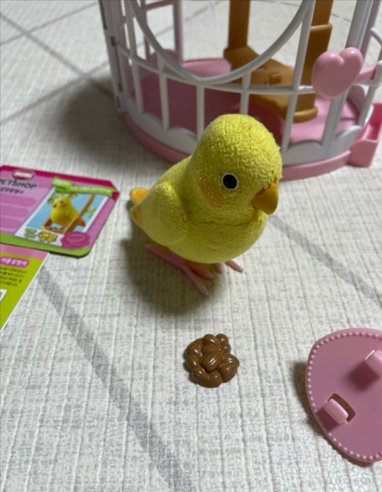 따라쟁이 앵무 새 장난감--1