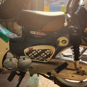 혼다 슈퍼커브 110 스쿠터