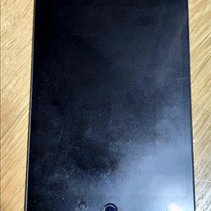 아이패드 미니 5 셀룰러 256GB