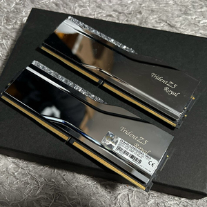 G.SKILL DDR5-6400 CL32 ROYAL 실버 패키지 (64GB(32Gx2)) 지스킬 로얄 실버 64g