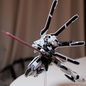 HG 슈바르테제 순조립