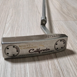 스카티카메론 캘리포니아 몬터레이 퍼터 이미지