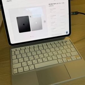 프로 11인치 M4 256GB + 매직키보드 + 애플케어플러스