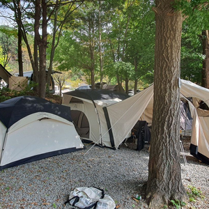 (면텐트) 더홀릭 폭스돔4+오페라돔+오베스티블 풀셋 팝니다.