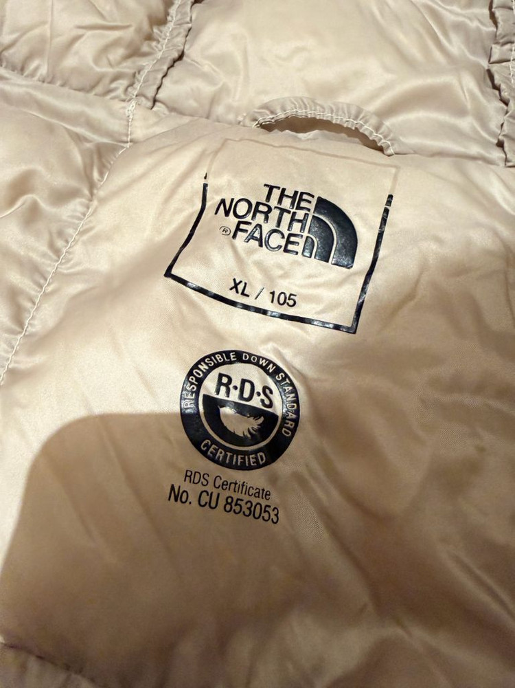 노스페이스 시티 에코소울 다운 자켓 패딩 NJ1DL67B--2