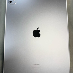 아이패드 프로 M4 13인치 256GB WIFI 실버