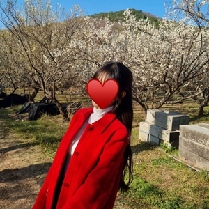 버버리 Burberry Blue label 38 레드 반코트 하프코트