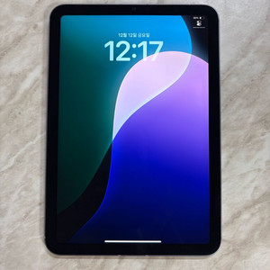 아이패드 미니6 셀룰러 256기가