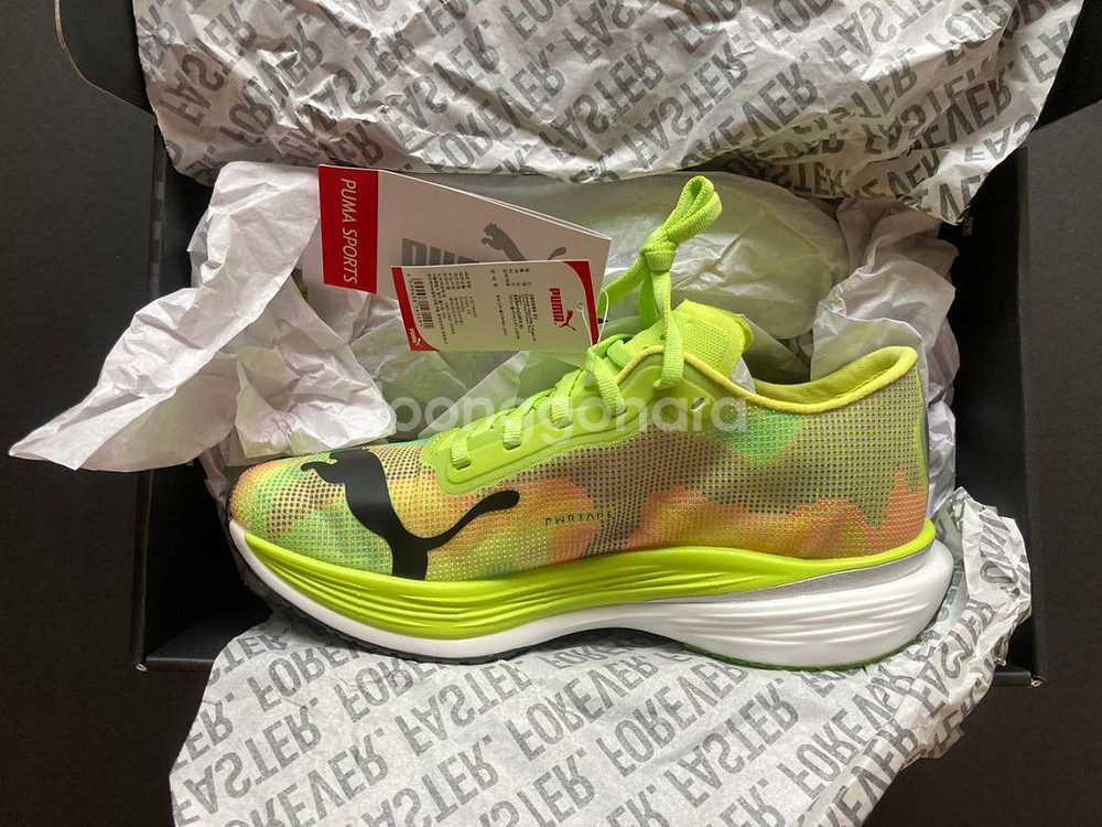 신제품)푸마 디비에이트 나이트로 엘리트2 245 카본화--5