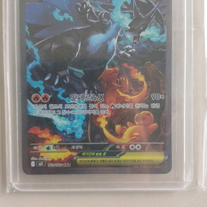 메가리자몽 X EX SAR