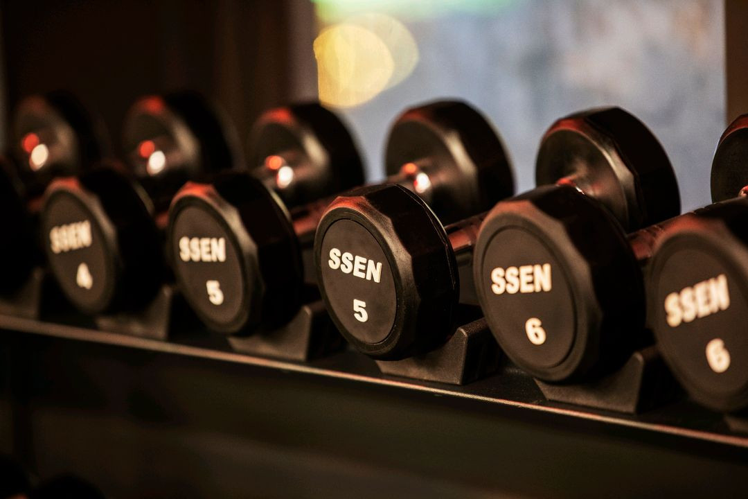 고정식바벨 중량원반 중량봉이지바 아령 중고아령 덤벨 이미지