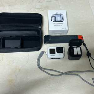 고프로 11 블랙 정품 케이스 및 구성품