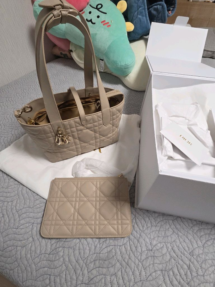 디올 뚜주흐 스몰 베이지--0