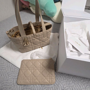 디올 뚜주흐 스몰 베이지