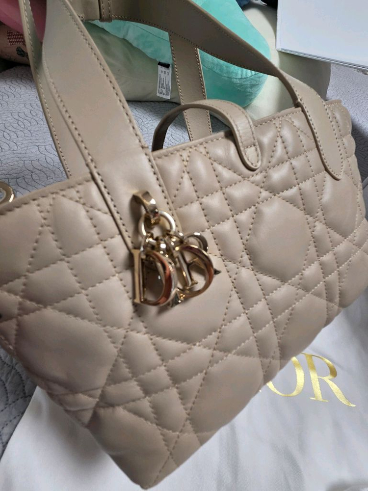 디올 뚜주흐 스몰 베이지--1