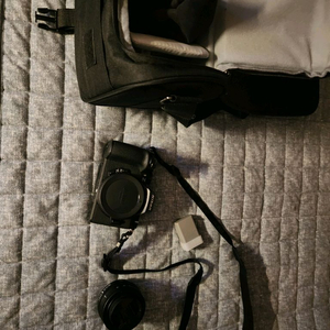 니콘 z50ii 16-50번들