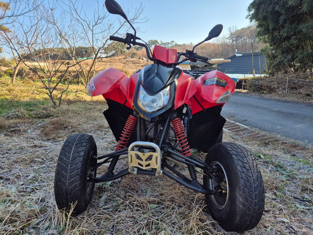 스포츠 ATV 4륜 사륜 사발이 효성 ALT180 오프로드 사바리 네발 180cc 이미지