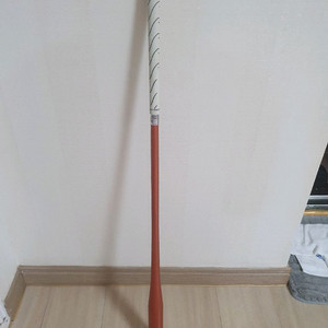 골프스윙 연습기 베스컨