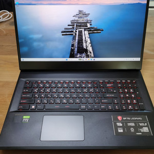 MSI 17인치 i7-11800H RTX3070게이밍 노트북