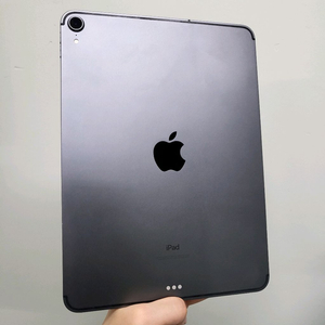 아이패드 프로 11 1세대 256기가 셀룰러 LTE 모델 판매합니다