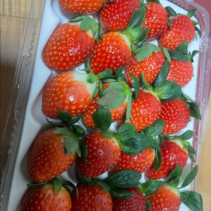 네이버페이 대리 ㄱㅈ 80퍼 구합니다