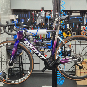 자이언트 프로펠 어드밴스 sl 팀