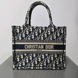 디올 오블리크 북토트 스몰