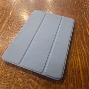 아이패드 미니 5세대 256GB 셀룰러 팔아요~~