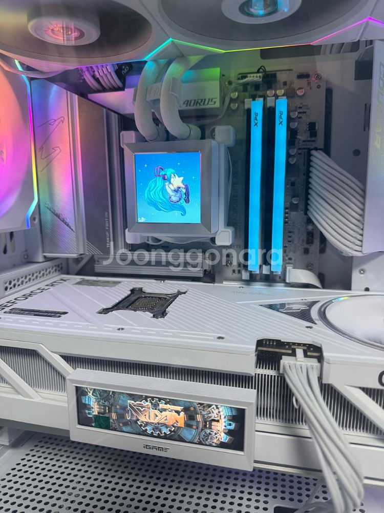 5080 불칸 화이트--3